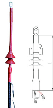 RSNY-1.jpg RSNY-1.jpg